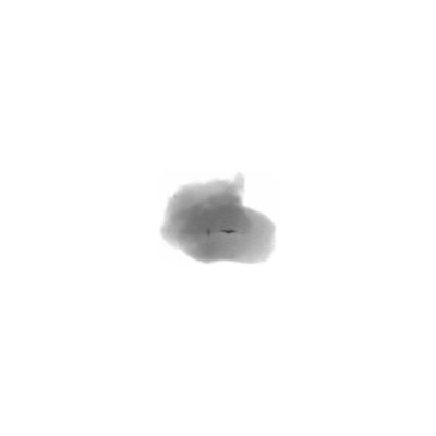 মাছের হাড় এক্স-রে পরিদর্শন সিস্টেম 0.2mm/0.4mm/TDI ম্যান-মেশিন ইন্টারফেস